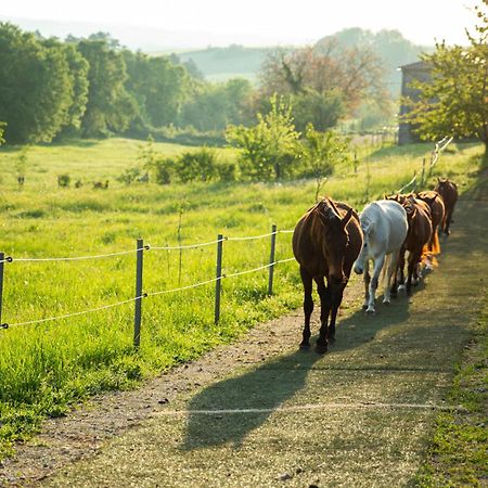 Domaine De Chantemerle B'Nb Marsac  エクステリア 写真