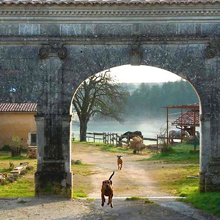 Domaine De Chantemerle B'Nb Marsac  エクステリア 写真
