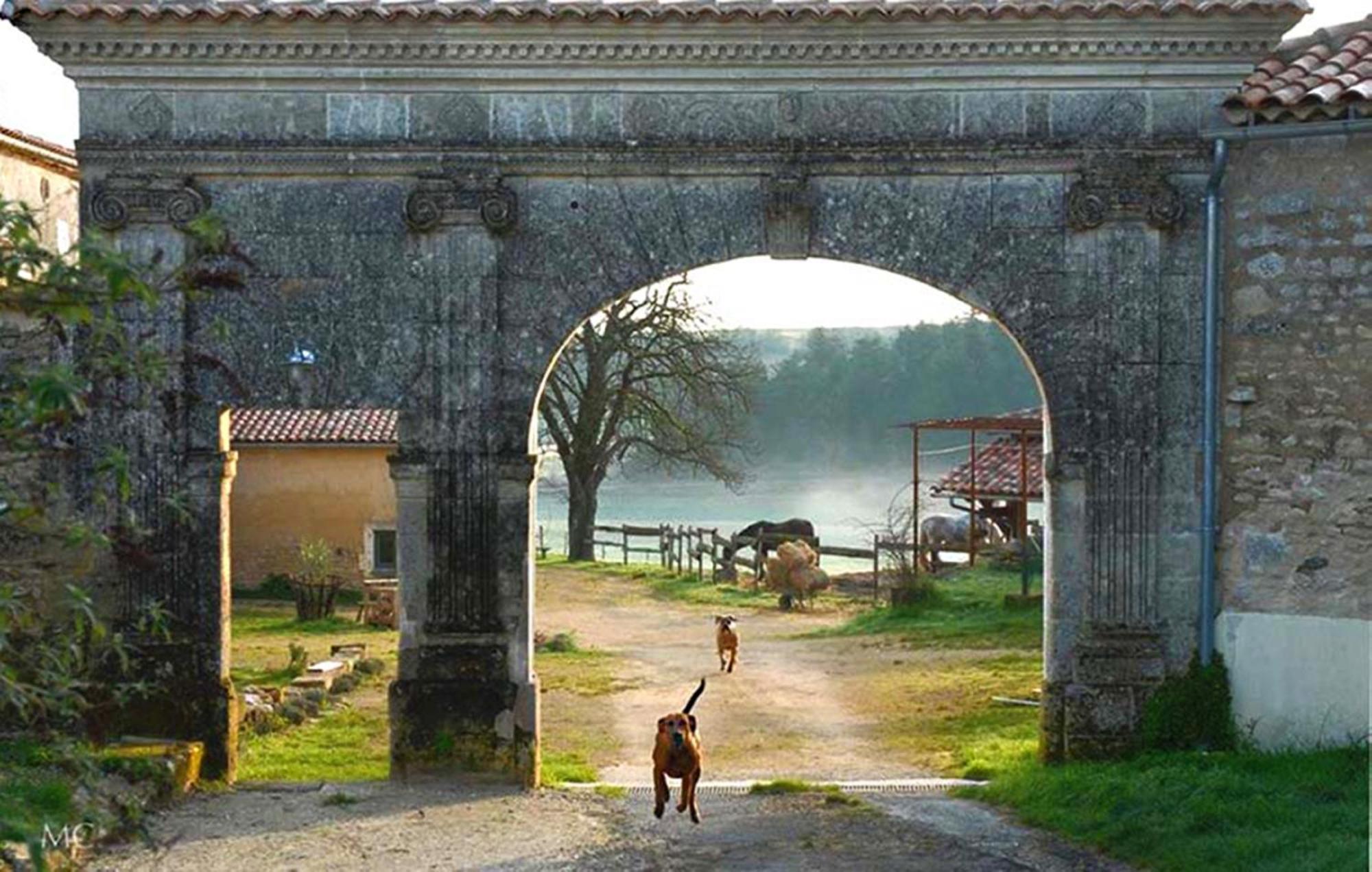 Domaine De Chantemerle B'Nb Marsac  エクステリア 写真